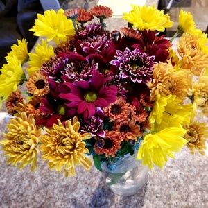 Meet your Posher, Stacey